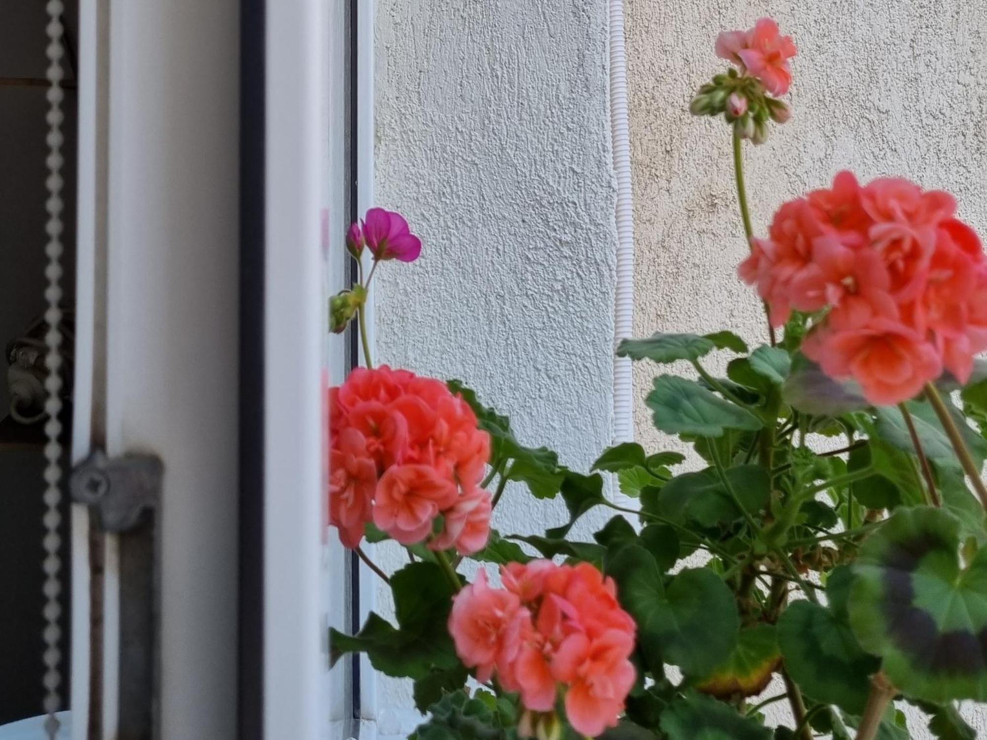 Apartmán Miruna Constanţa Exteriér fotografie